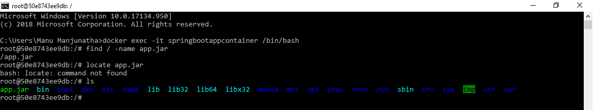 docker-interactive-bash-session-exec-2